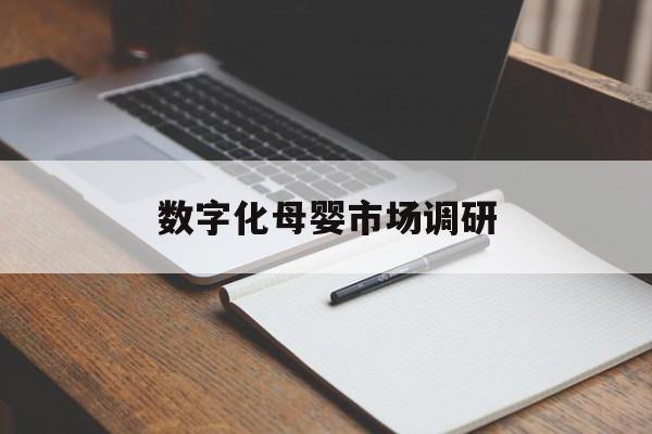 都匀市数字化母婴市场调研(数字化母婴市场调研报告)